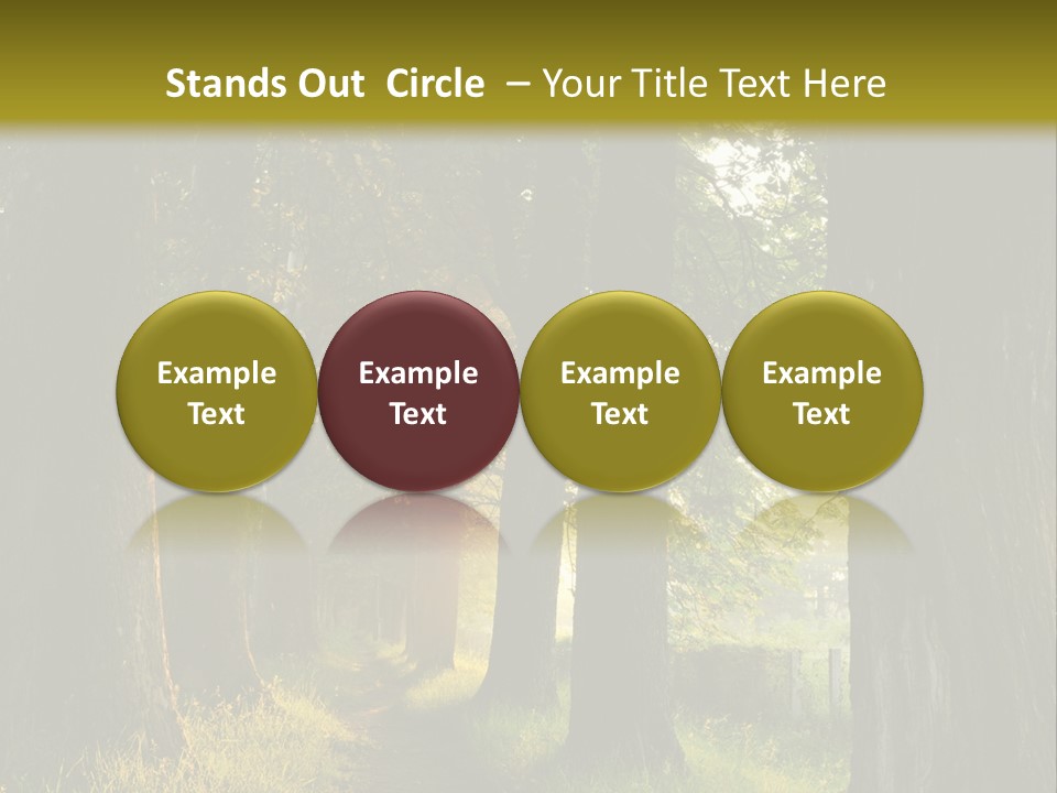 Scenic Magic Vivid PowerPoint Template