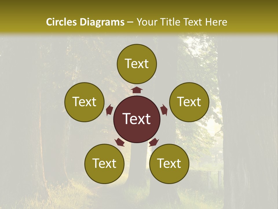 Scenic Magic Vivid PowerPoint Template