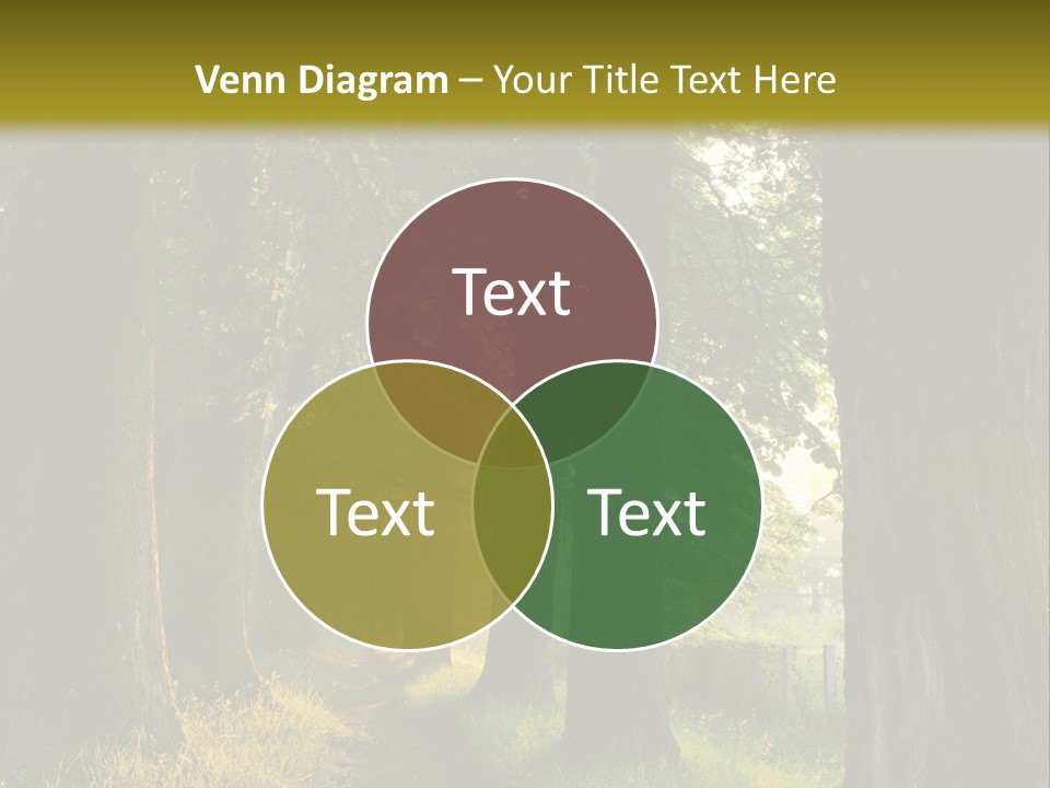 Scenic Magic Vivid PowerPoint Template