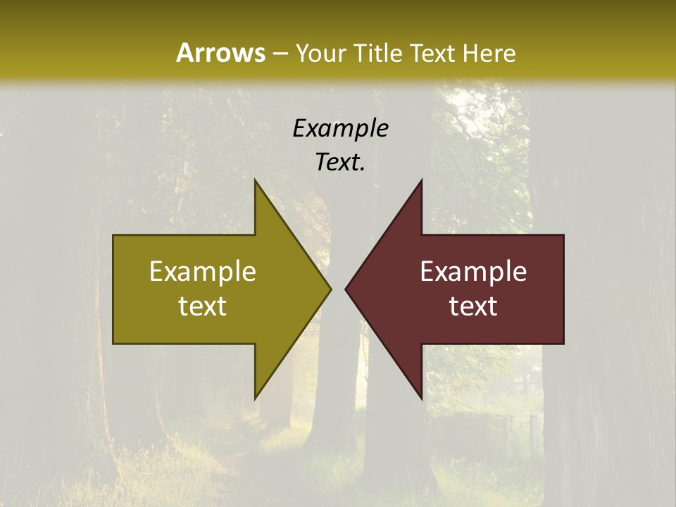 Scenic Magic Vivid PowerPoint Template
