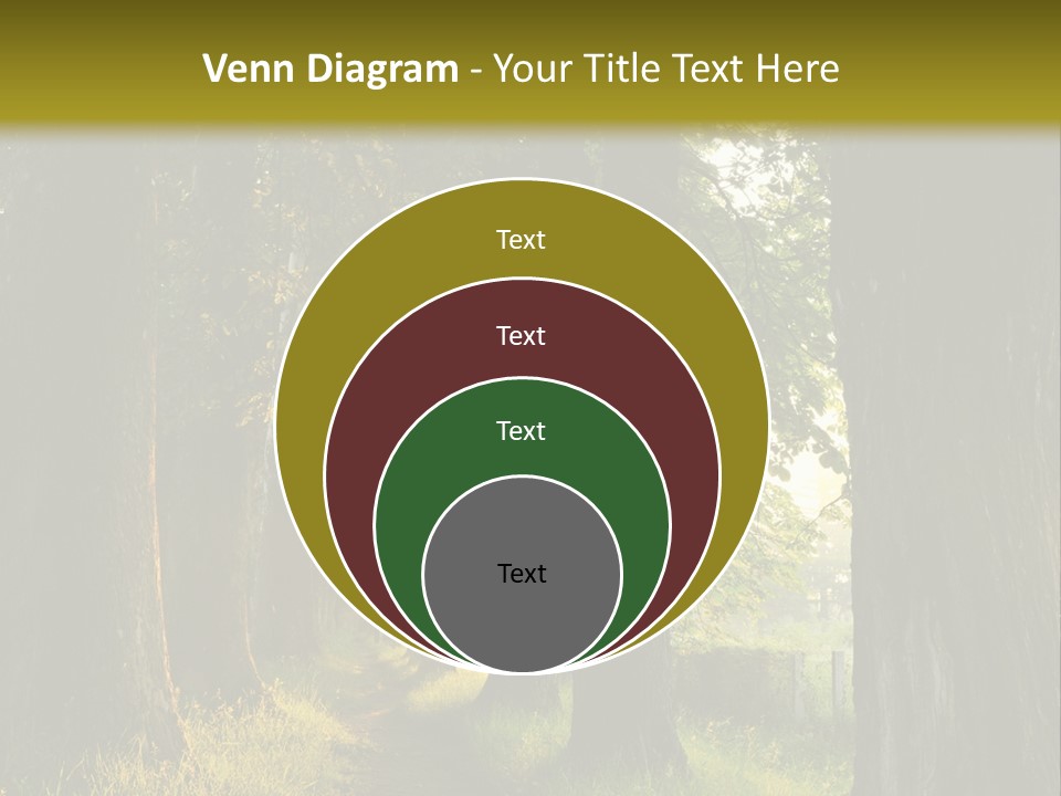 Scenic Magic Vivid PowerPoint Template