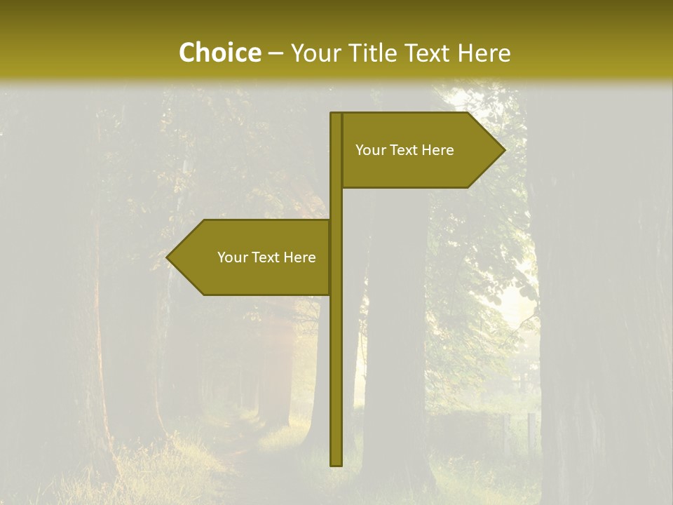 Scenic Magic Vivid PowerPoint Template