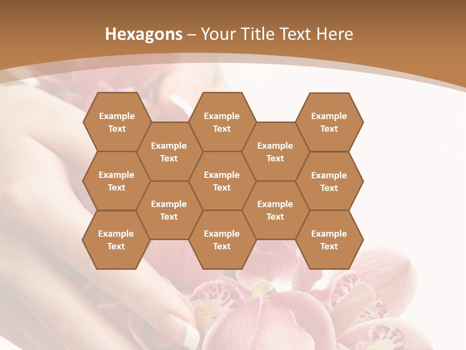 Isolated Blossom Close Up PowerPoint Template