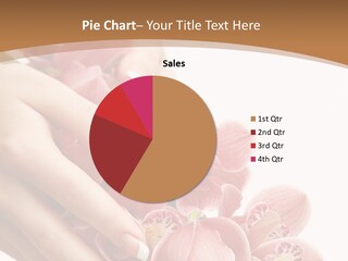 Isolated Blossom Close Up PowerPoint Template