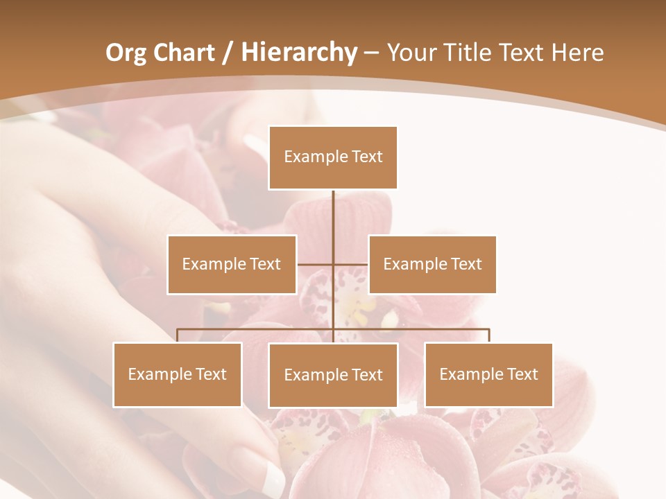Isolated Blossom Close Up PowerPoint Template