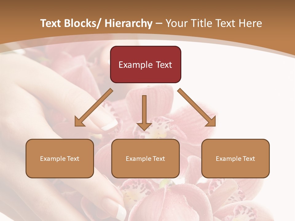 Isolated Blossom Close Up PowerPoint Template