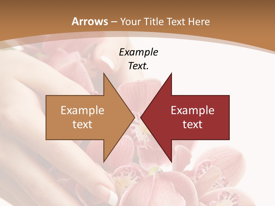 Isolated Blossom Close Up PowerPoint Template