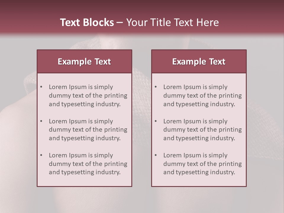 Light Clothing Elegant PowerPoint Template