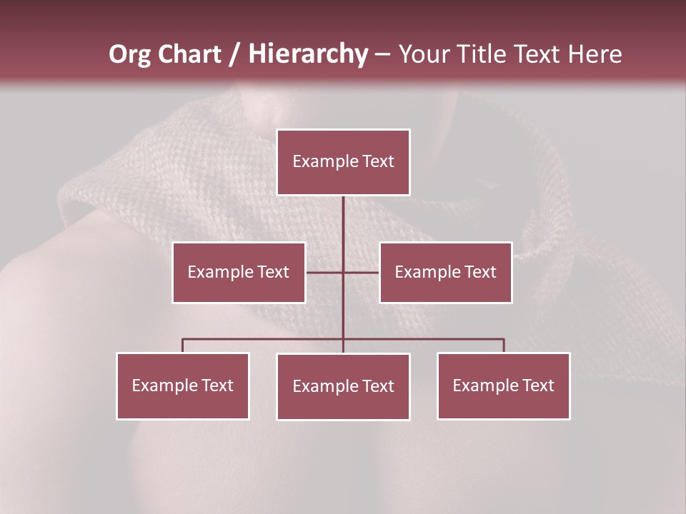 Light Clothing Elegant PowerPoint Template