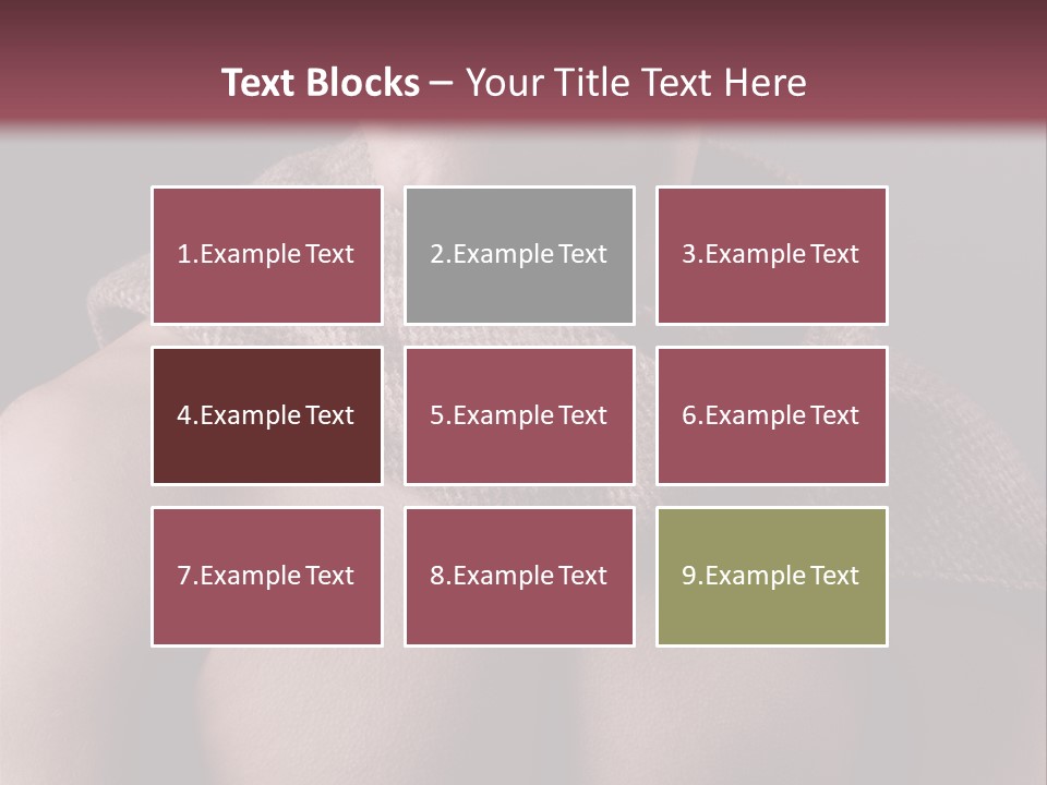 Light Clothing Elegant PowerPoint Template