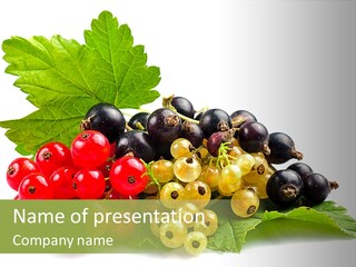 Sour Taste Bunch PowerPoint Template