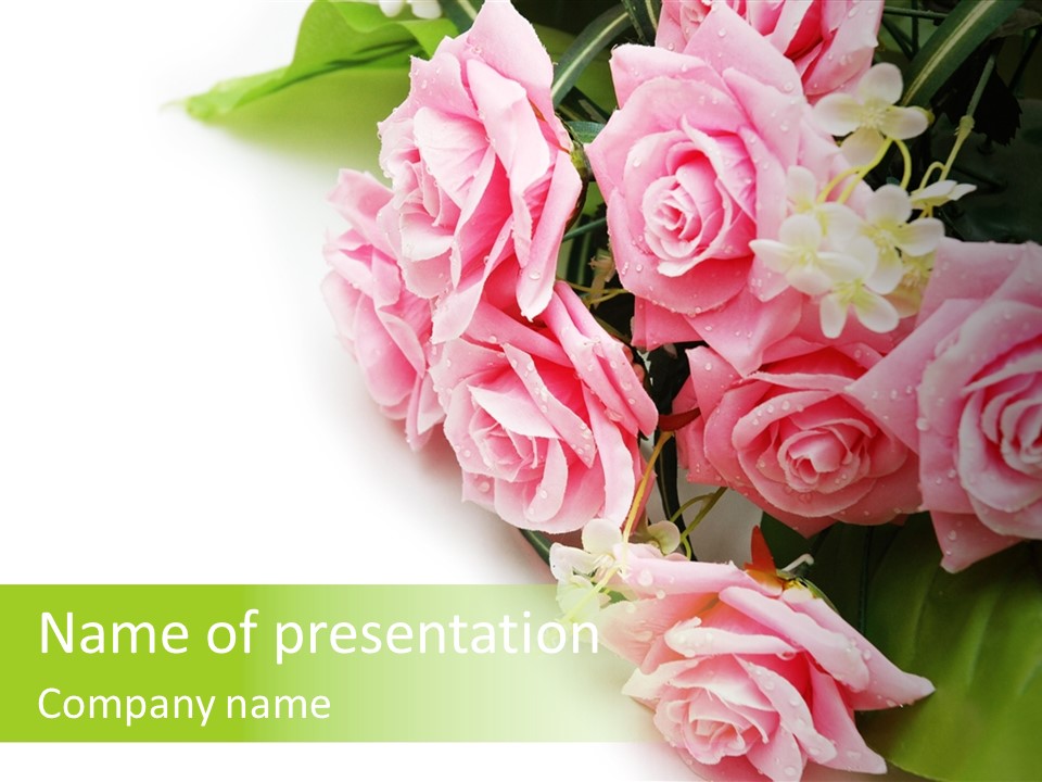 Daisy Valentine Soft PowerPoint Template