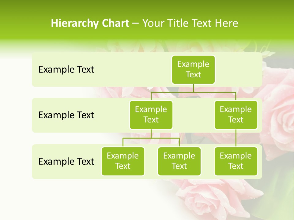 Daisy Valentine Soft PowerPoint Template