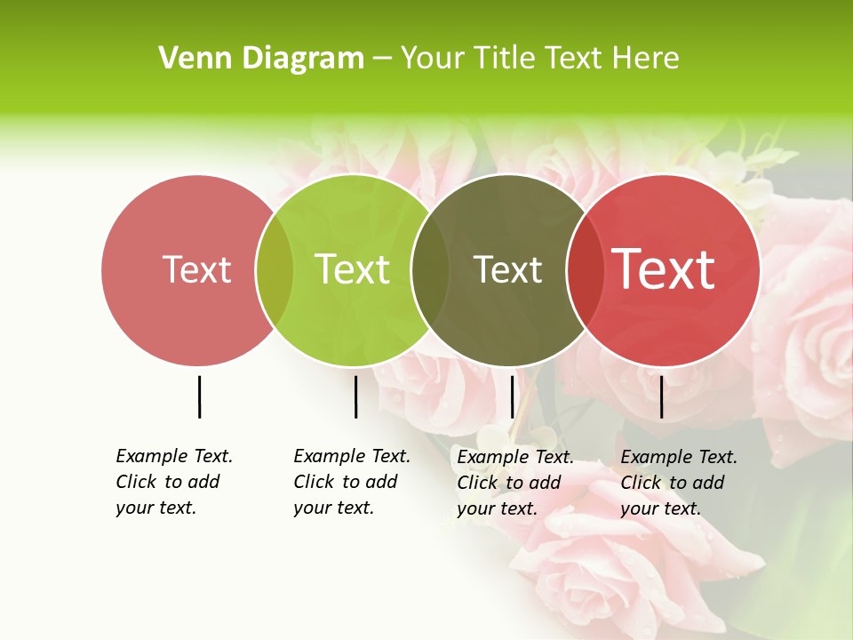 Daisy Valentine Soft PowerPoint Template