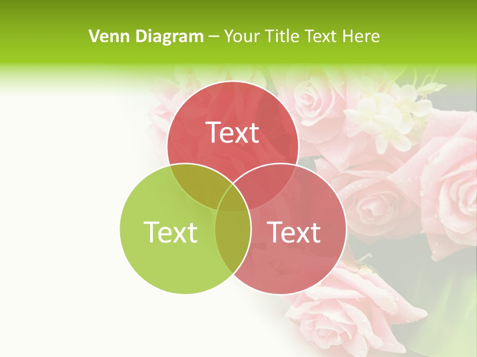 Daisy Valentine Soft PowerPoint Template