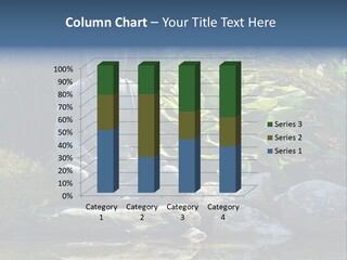 Nature Happy Park PowerPoint Template