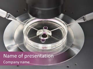 Cleansing Cardboard Container PowerPoint Template