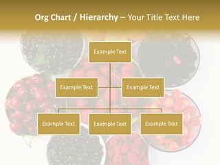 Mellow Ingredient Colored PowerPoint Template