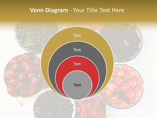 Mellow Ingredient Colored PowerPoint Template