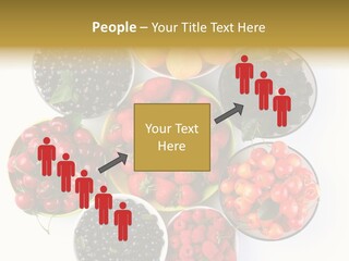 Mellow Ingredient Colored PowerPoint Template