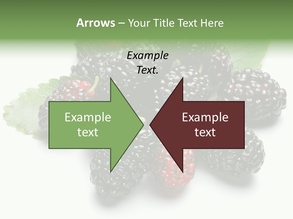 Group Food Vegetarian PowerPoint Template