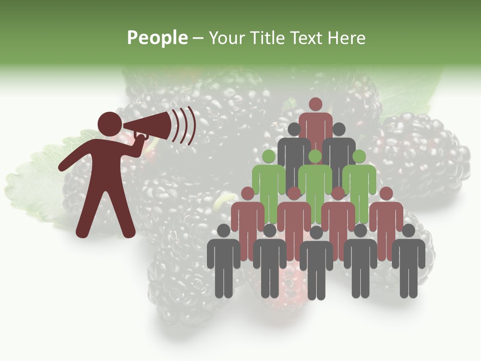 Group Food Vegetarian PowerPoint Template