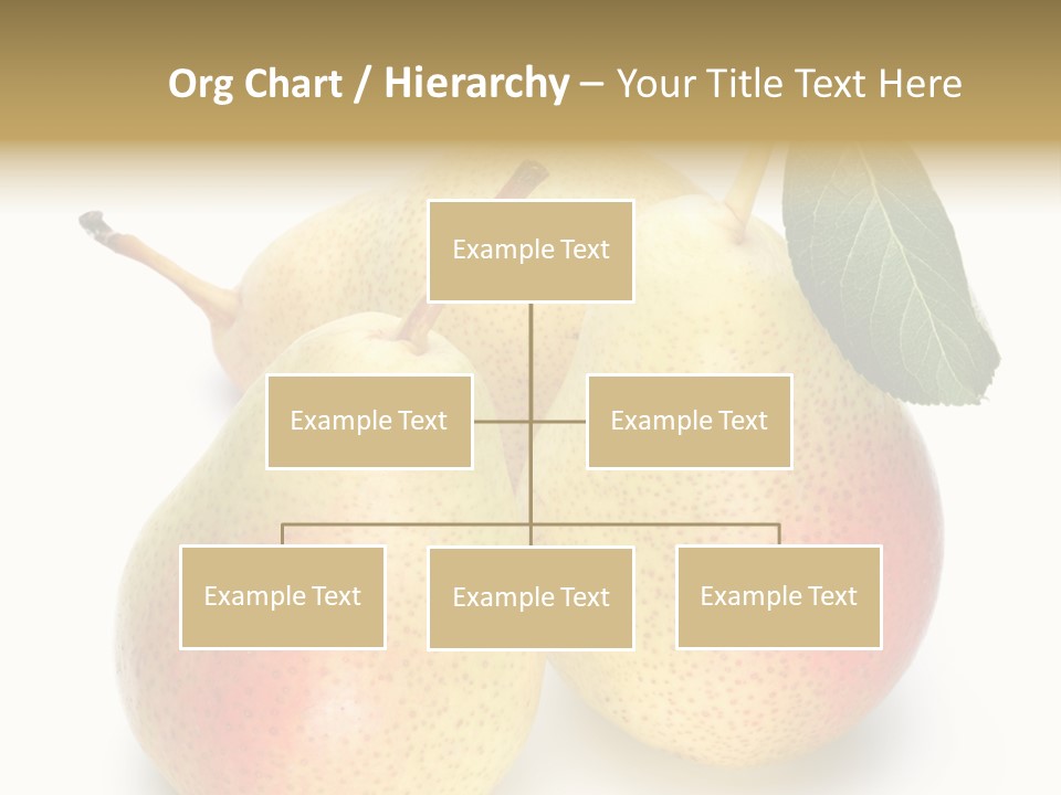 Food Healthy Organic PowerPoint Template
