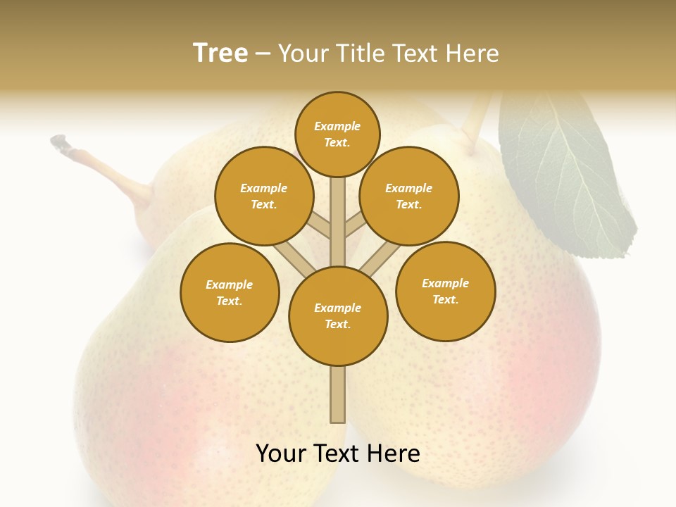 Food Healthy Organic PowerPoint Template