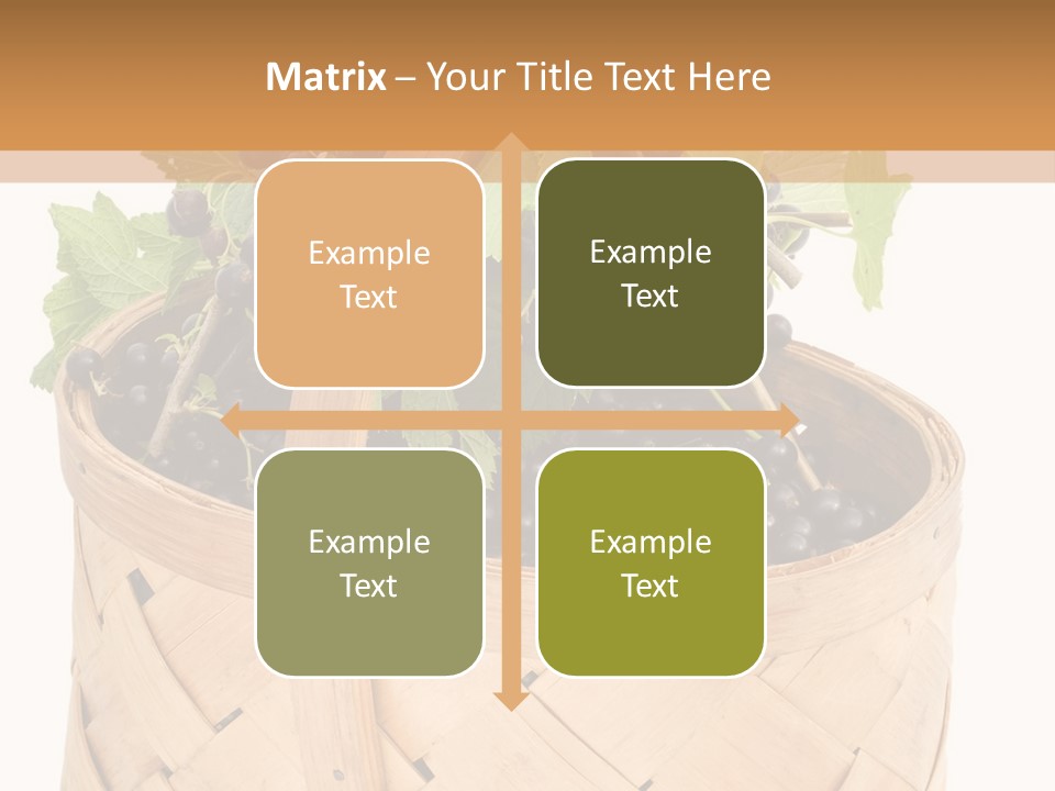 Plant Mature Currants PowerPoint Template