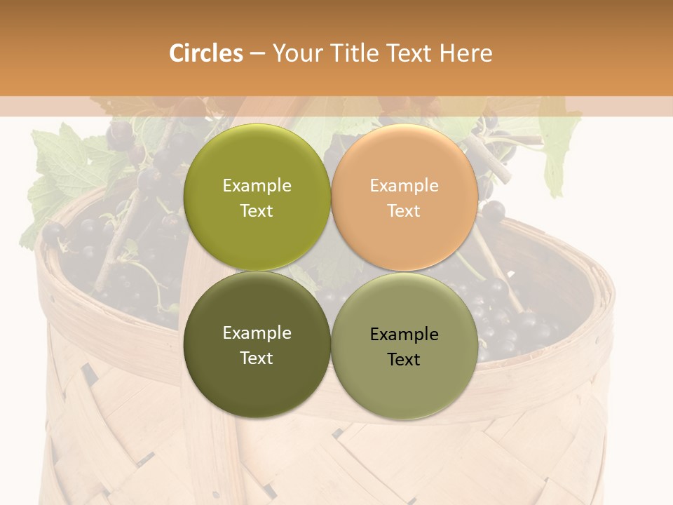 Plant Mature Currants PowerPoint Template