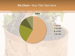 Plant Mature Currants PowerPoint Template