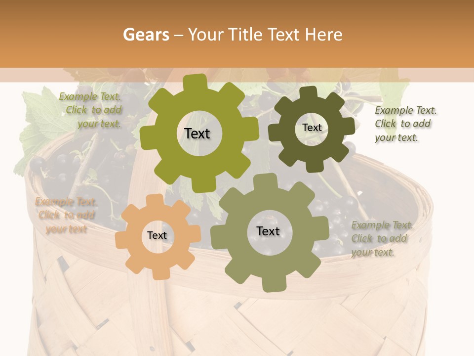 Plant Mature Currants PowerPoint Template