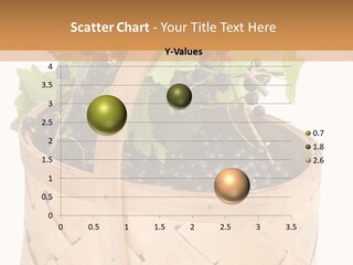 Plant Mature Currants PowerPoint Template