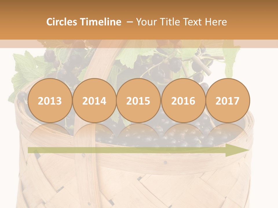 Plant Mature Currants PowerPoint Template