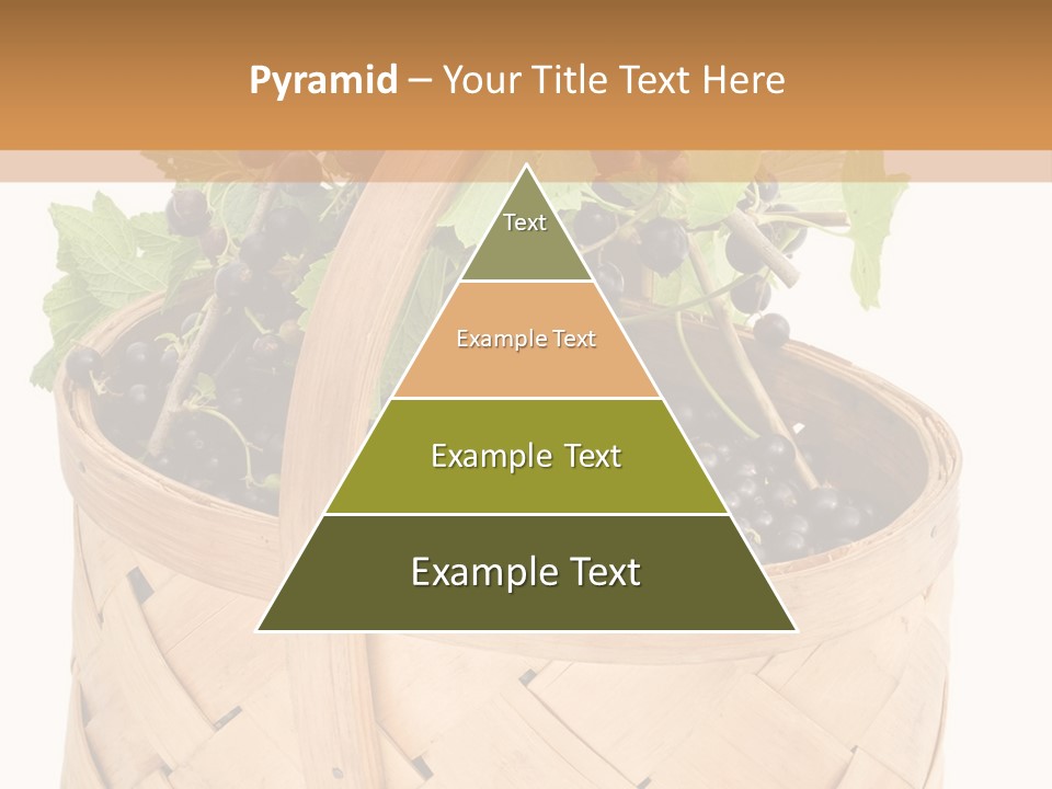 Plant Mature Currants PowerPoint Template