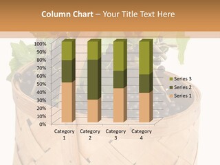 Plant Mature Currants PowerPoint Template