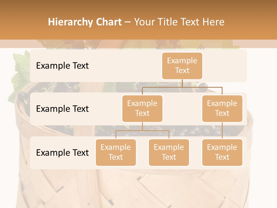 Plant Mature Currants PowerPoint Template