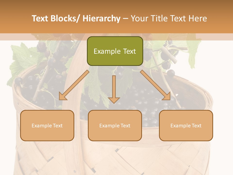 Plant Mature Currants PowerPoint Template