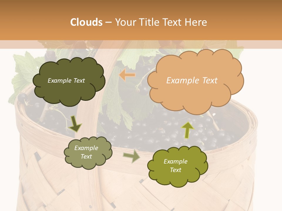 Plant Mature Currants PowerPoint Template