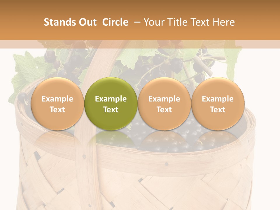 Plant Mature Currants PowerPoint Template