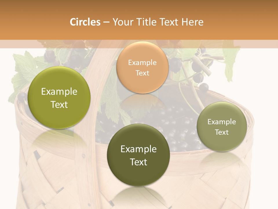 Plant Mature Currants PowerPoint Template