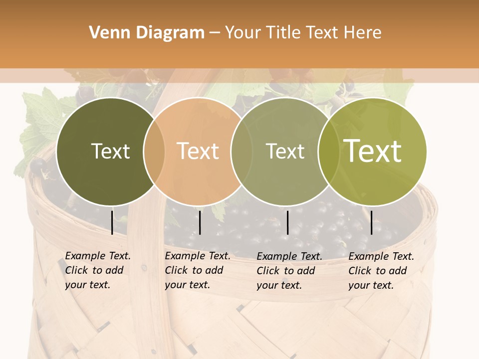 Plant Mature Currants PowerPoint Template