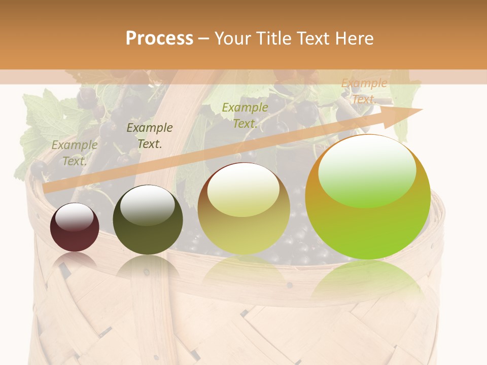 Plant Mature Currants PowerPoint Template