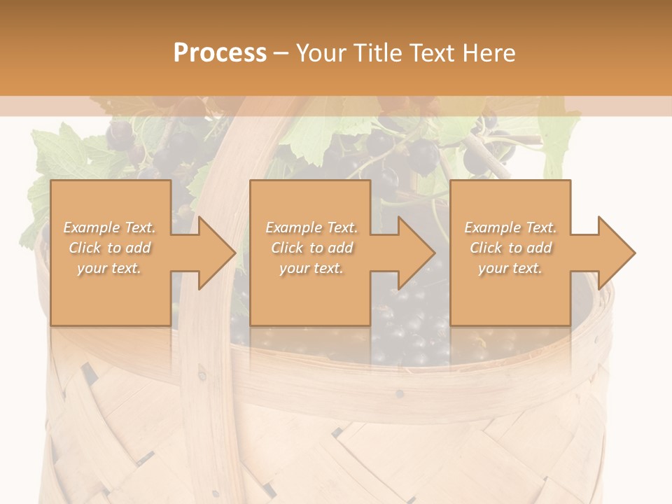 Plant Mature Currants PowerPoint Template