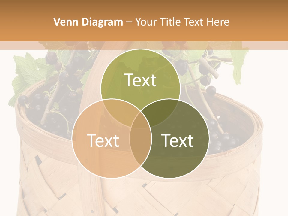 Plant Mature Currants PowerPoint Template