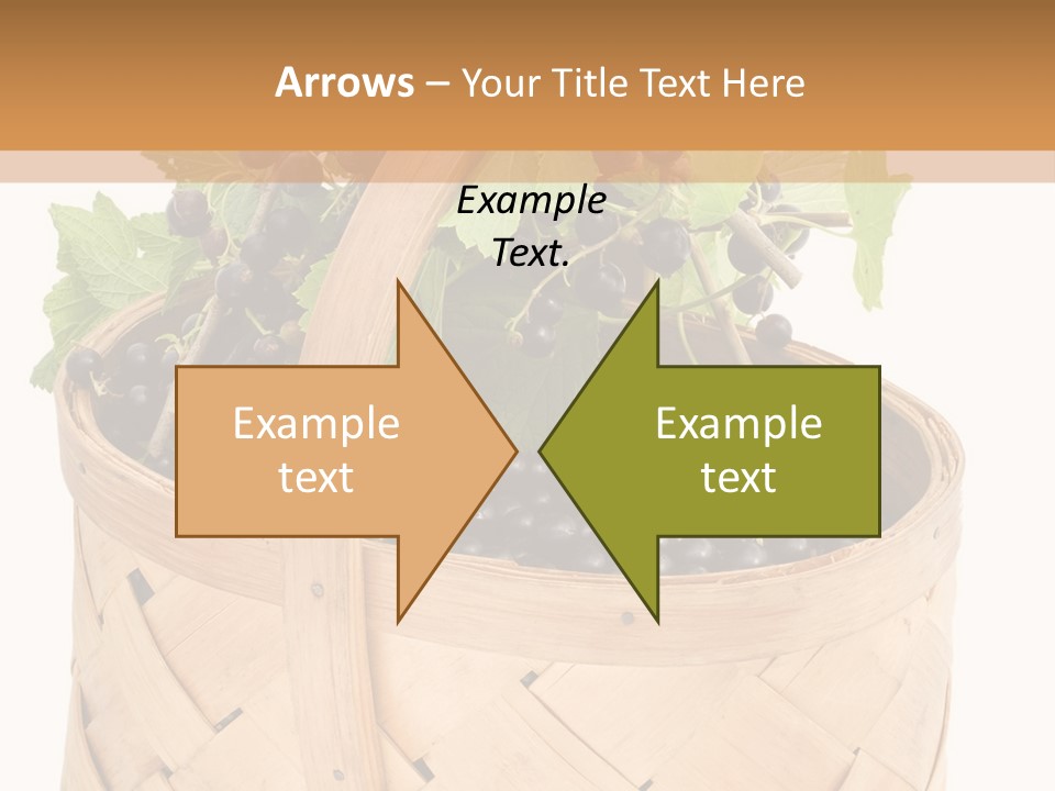 Plant Mature Currants PowerPoint Template