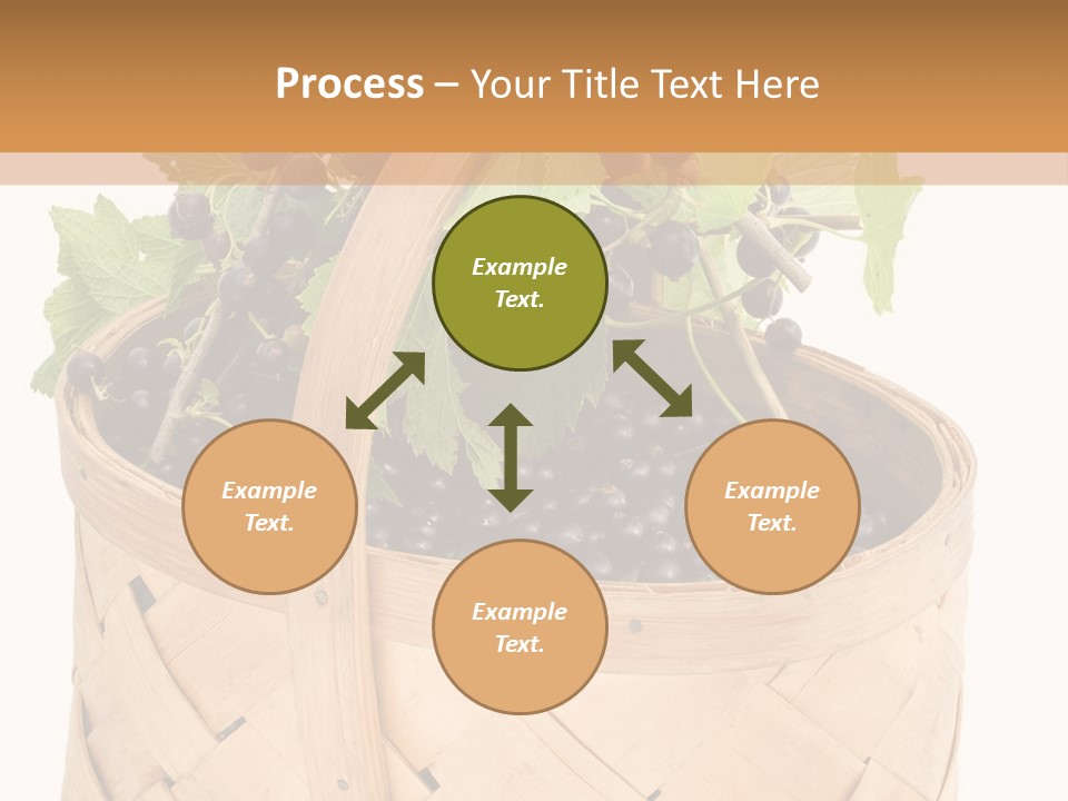 Plant Mature Currants PowerPoint Template
