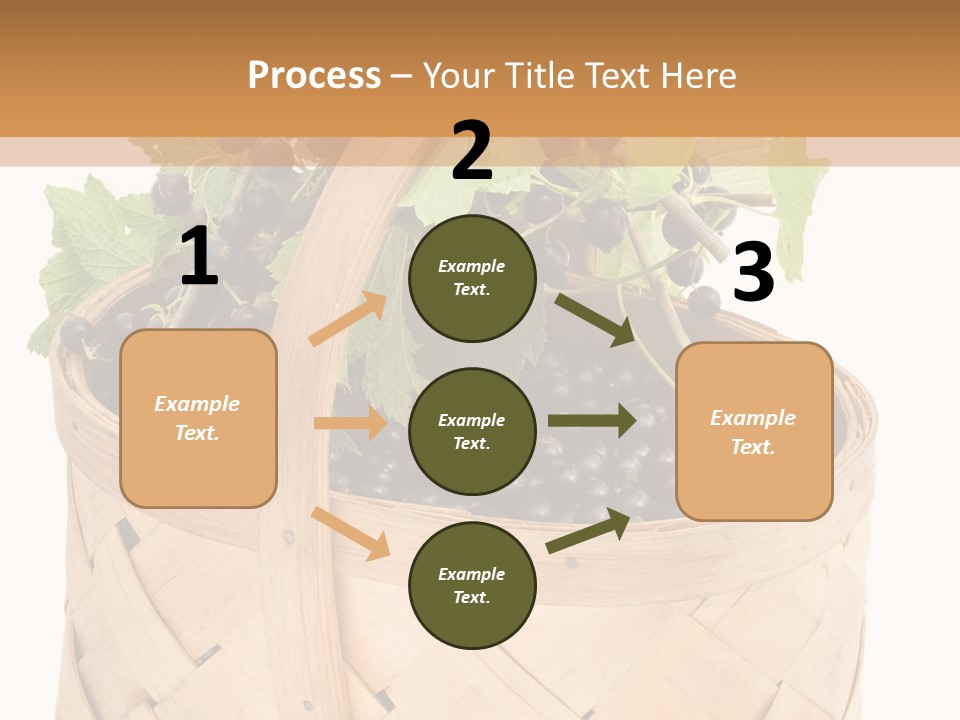 Plant Mature Currants PowerPoint Template