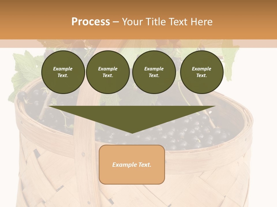 Plant Mature Currants PowerPoint Template