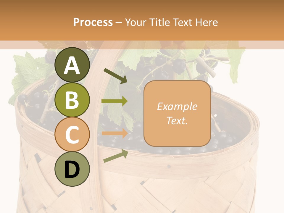 Plant Mature Currants PowerPoint Template